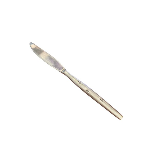 Vintage Everbrite Stainless Steel Japan Dinner Knife Decorative Handle Design - Picture 1 of 4